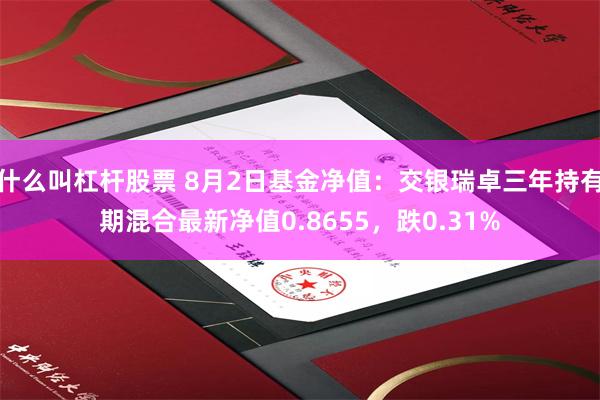 什么叫杠杆股票 8月2日基金净值：交银瑞卓三年持有期混合最新净值0.8655，跌0.31%