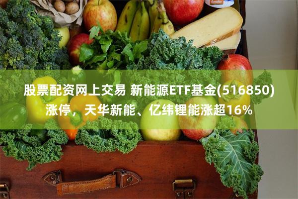 股票配资网上交易 新能源ETF基金(516850)涨停，天华新能、亿纬锂能涨超16%