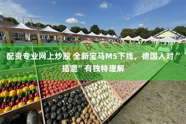 配资专业网上炒股 全新宝马M5下线，德国人对“插混”有独特理解