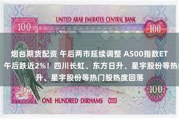 烟台期货配资 午后两市延续调整 A500指数ETF（560610）午后跌近2%！四川长虹、东方日升、星宇股份等热门股热度回落