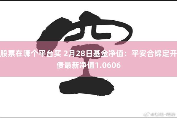 股票在哪个平台买 2月28日基金净值：平安合锦定开债最新净值1.0606