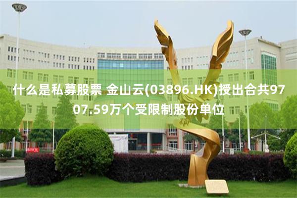 什么是私募股票 金山云(03896.HK)授出合共9707.59万个受限制股份单位